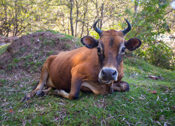 Similar image 8163739