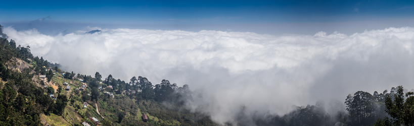 Similar image 8163740