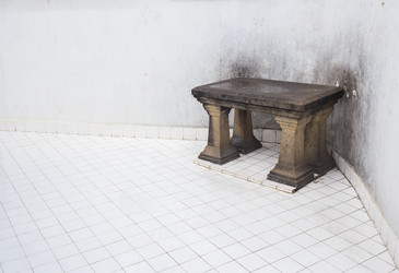 Similar image 8163764