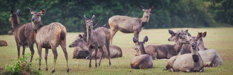 Similar image 8163801