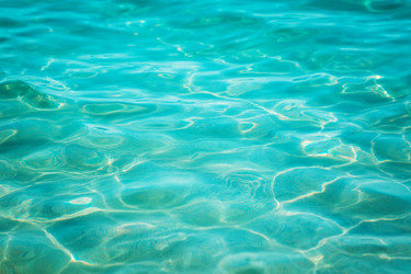 Similar image 8163803