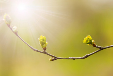 Similar image 8163834