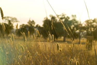 Similar image 8163836