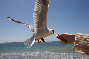 Similar image 8163848