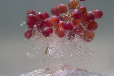 Similar image 8163849