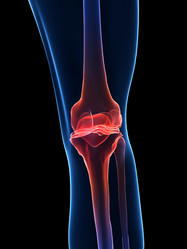 Similar image 8163851