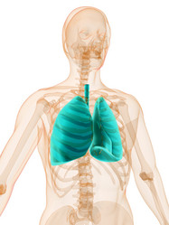 Similar image 8163861