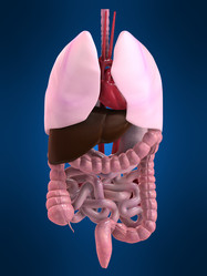 Similar image 8163897