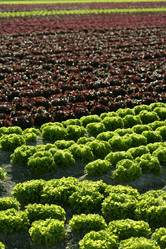 Similar image 8163944