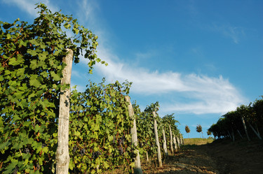 Similar image 8163956