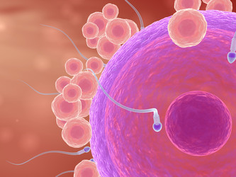 Similar image 8163967