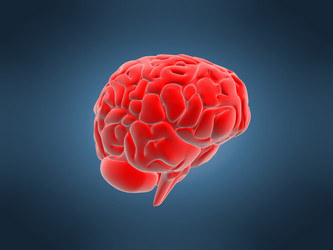 Similar image 8163996