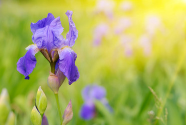 Similar image 8163997