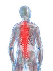 Similar image 8164000