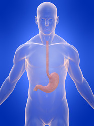 Similar image 8164007