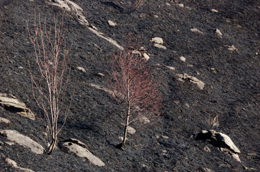 Similar image 8164046