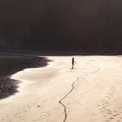 Similar image 8164059