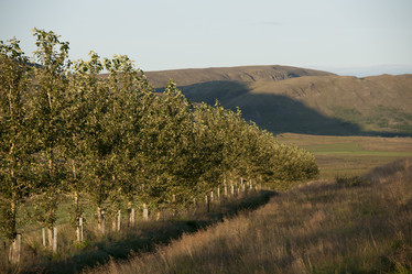 Similar image 8164069