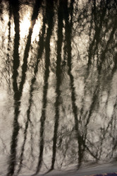 Similar image 8164083