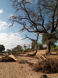 Similar image 8164091