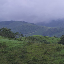 Similar image 8164095