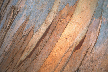 Similar image 8164105