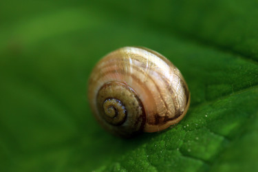 Similar image 8164117