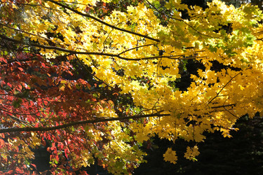 Similar image 8164121