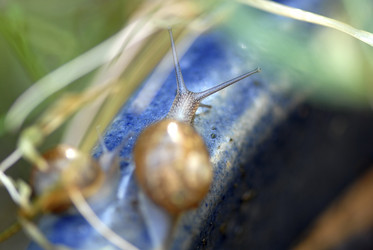 Similar image 8164127