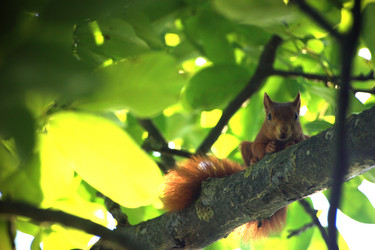 Similar image 8164130