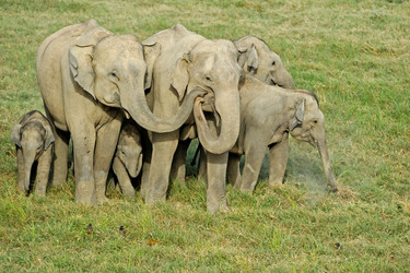 Similar image 8164133