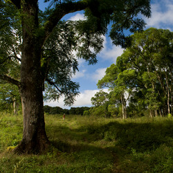 Similar image 8164136