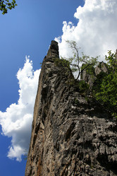 Similar image 8164137