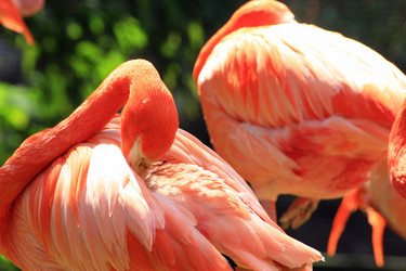 Similar image 8164138