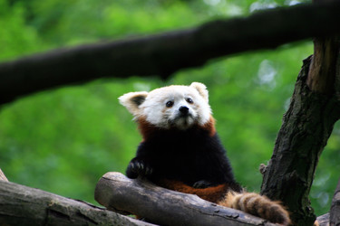 Similar image 8164140