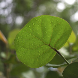 Similar image 8164146