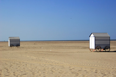 Similar image 8164147