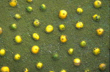 Similar image 8164152