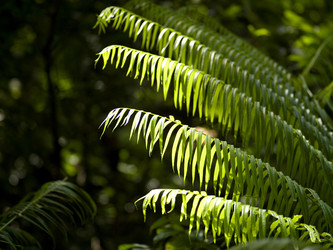 Similar image 8164156