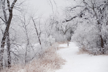 Similar image 8164165