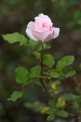 Similar image 8164166