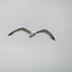 Similar image 8164167