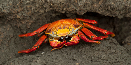 Similar image 8164168