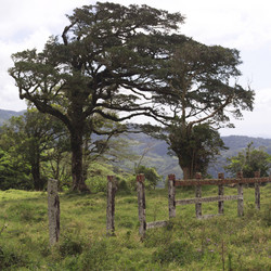 Similar image 8164172