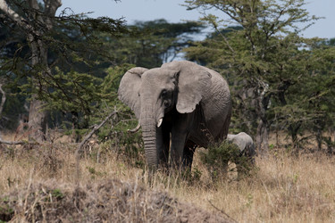 Similar image 8164177