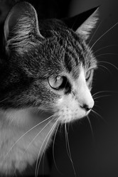 Similar image 8164178