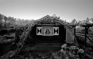 Similar image 8164180