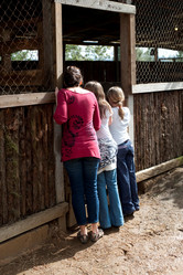 Similar image 8164181