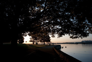 Similar image 8164187