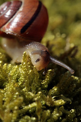 Similar image 8164194